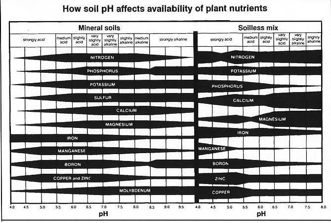 Soil ph and plant Nutrient availability The ph readings are used to determine the nutrients availability to the plants.
