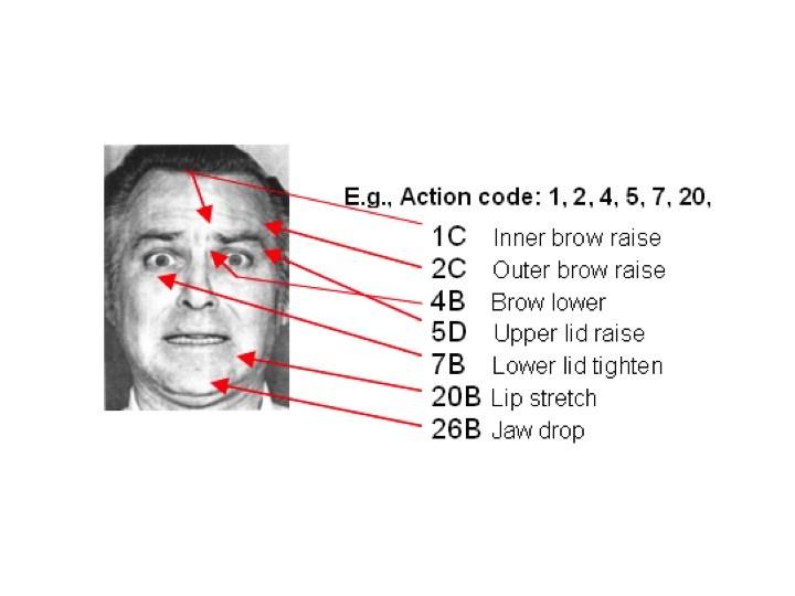 Figure 2.1 Example of Facial Action Coding units (FACS) for the expression fear Presentation of non-natural facial stimuli became increasingly common as testing stimuli.