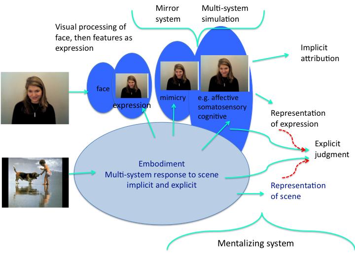 Figure 3.4. A proposed schematic for the sequence of processing a facial expression and context scene that supports judgments about the expression as the true or false response to the context scene.