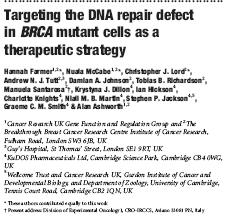 Targeting BRCA tumors Based on the knowledge of the roles of BRCA
