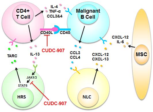 activity likely mediated through effects on STAT proteins Produced by tumor HDACi CCL3 CCL4 CCL22