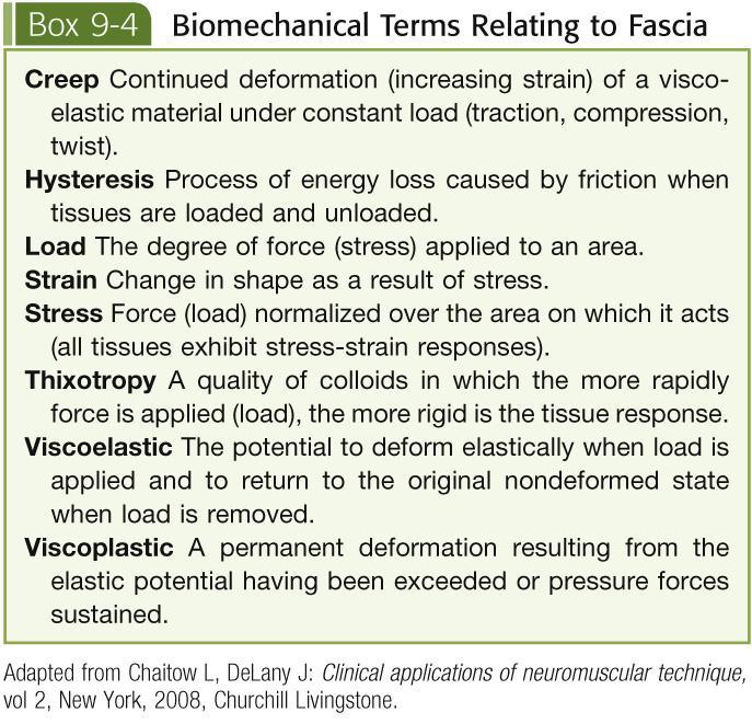 Biomechanical Terms Fascia is involved in