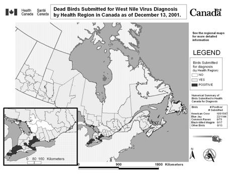 Positive Test Results: Canada 2 Province Number of Confirmed Positive Dead Birds Number of Confirmed Positive Mosquito Pools Number of Presumptive* or Confirmed Positive Horses Ontario 28 9 Canada 28