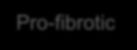 dermal fibrosis in FGF-2 KO mice