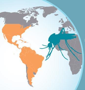 Zika Virus Over 750,000 reported cases in the Americas Over 36,000 cases in U.S.
