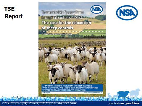 Another recently published piece is a Woodland Trust leaflet looking at ways to plant more trees on farmland in a way that benefits sheep enterprises rather than usurps productive land.