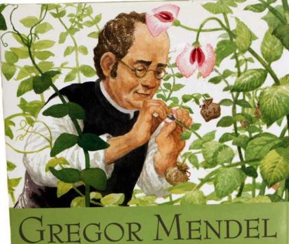 Gregor Mendel In the 1850s, he was a priest and a teacher in Europe While