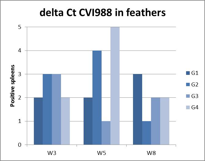 Figure 8: CVI988 qpcr on feathers quantification.