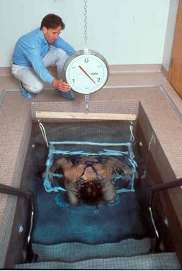 Body Composition by tissue Hydrostatic weighing or