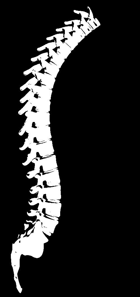 Where do vertebral fractures occur?