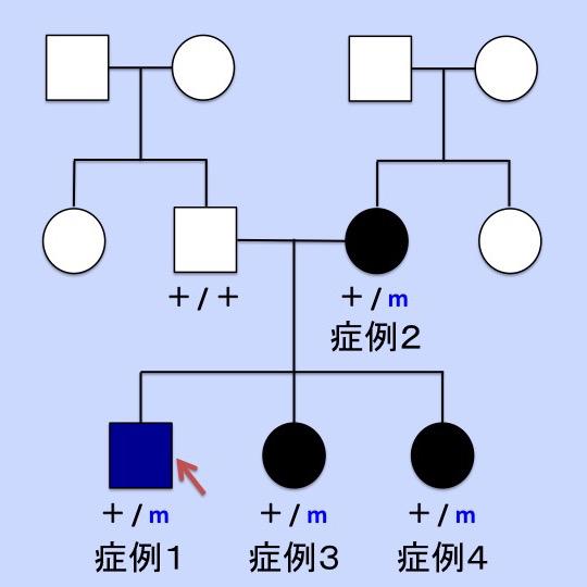 A Japanese Family Case with