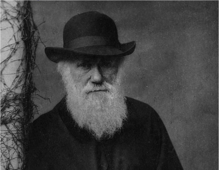 That mystery of mysteries Darwin never actually tackled
