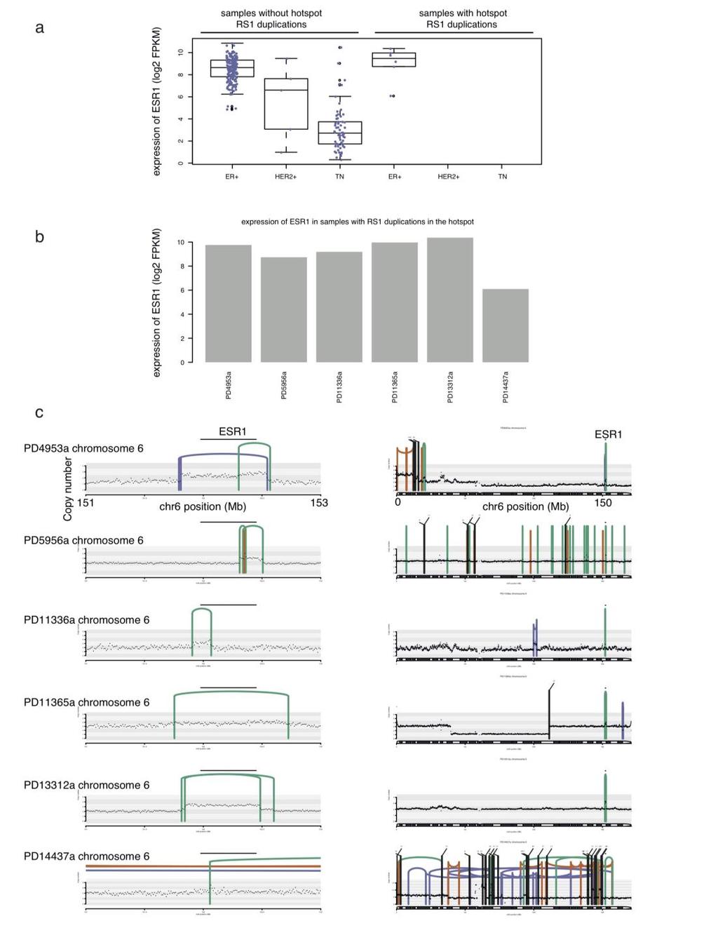 Supplementary Figure 7 Tandem duplications wholly or partially increase the number of copies of ESR1, which correlates with high expression of the gene.