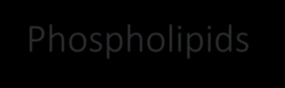 Phospholipids Glycerophospholipids Sphingophospholipids contain glycerol backbone Glycerol-3-PO 4 is bonded to two fatty acid