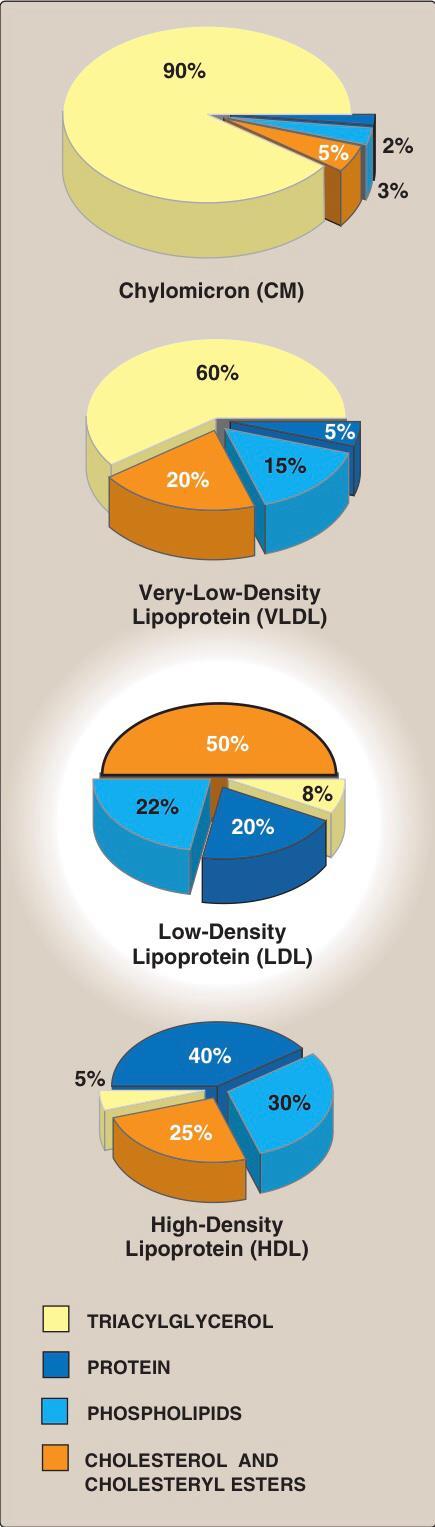 Types and functions of lipoproteins Lipoprotein Transports Major components Chylomicrons Dietary TGs Triacylglycerol Very low density lipoprotein (VLDL) Endogenous TGs Triacylglycerol Low density