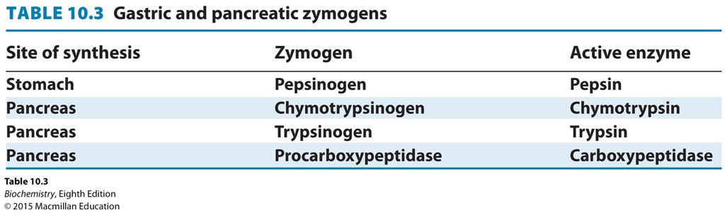 The digestive enzyme chymotrypsin is synthesized as an inactive precursor called chymotrypsinogen.