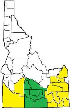 Acreage or Head (in thousands) Crop Rotation Corn in Southern Idaho 700 600 500 400 Corn Acreage