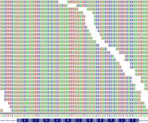 for 230 cancer genes B B B B B Berger Lab Genomics Core Lab Berger