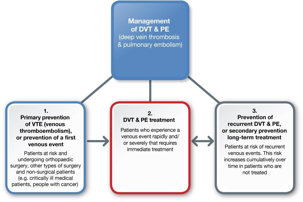 Current management of DVT and PE The management of DVT and PE takes three main approaches: There are treatment options for people at every stage of DVT and PE: 1.