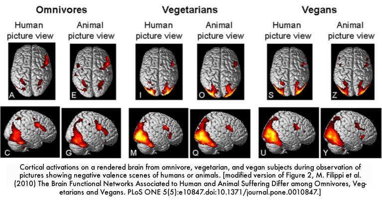 Biological Reasoning the majority of vegetarians stop eating meat because they feel it is morally wrong to eat