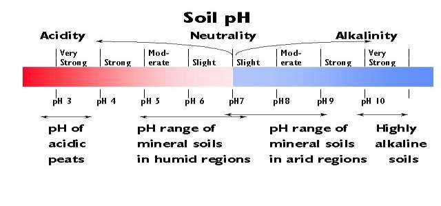 What is soil ph?
