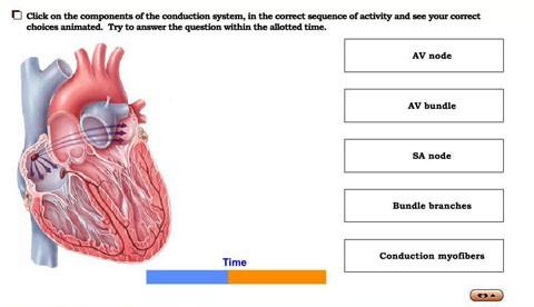 Activity 7: Cardiac Output Factors System > Do > Interactive Exercise: Cardiac Output Factors 1. Why is the SA node the pacemaker of the heart? 2.