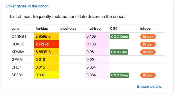 The box Driver genes in the cohort presents a list of candidate driver genes in the cohort of tumors under analysis.