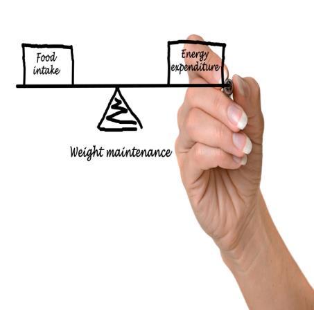 Slide 8 Energy Imbalances Same amount of calories + same amount of activity = energy balance Weight is maintained More calories less activity = energy imbalance Could lead to weight gain 8 Eating the