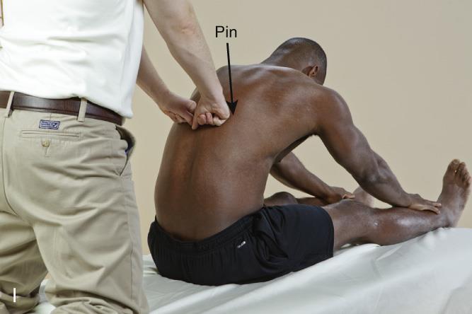 in the pin