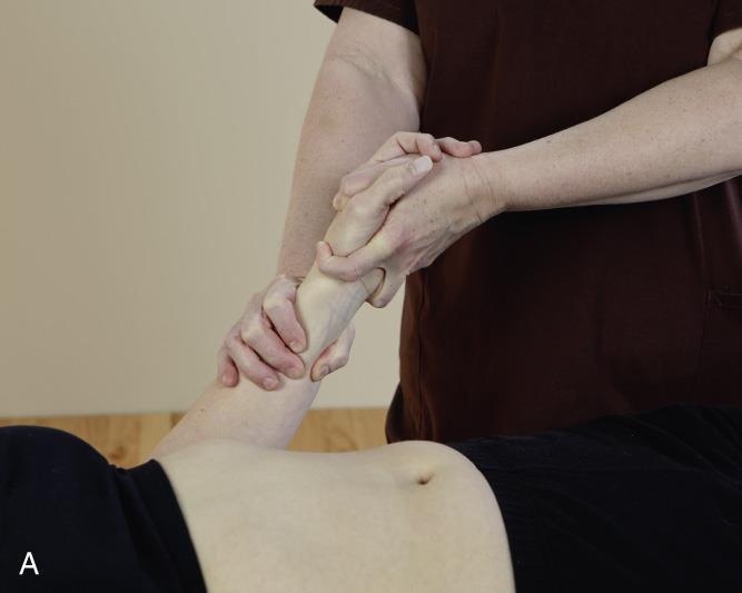 Examples of Joint Movement A, Wrist joints.