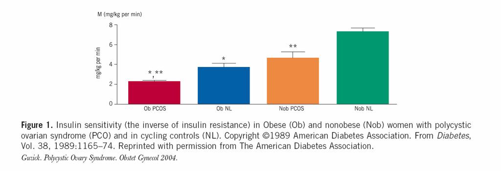 Insulin sensitivity and obesity Insulin
