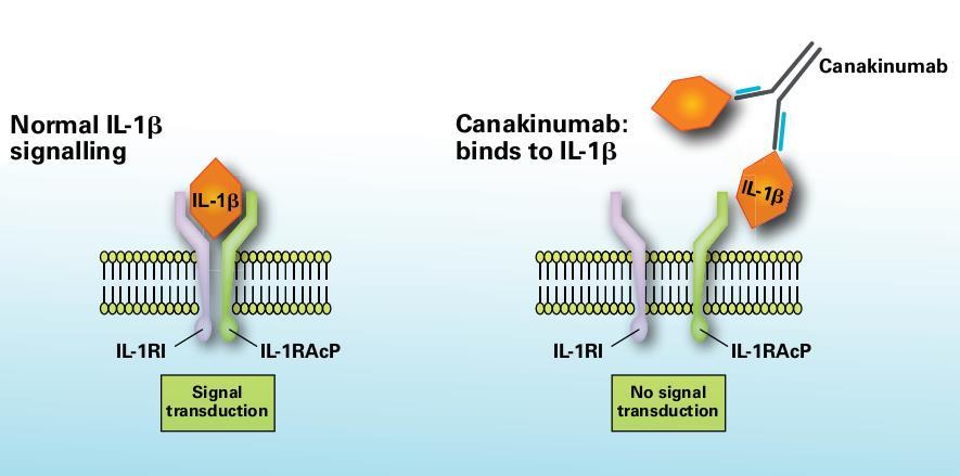 Canakinumab (Ilaris ) The drug: Anti-IL-1β IL-1β is a key mediator of the inflammatory response in all the classical periodic fever syndromes Canakinumab is an anti-interleukin-1β monoclonal antibody