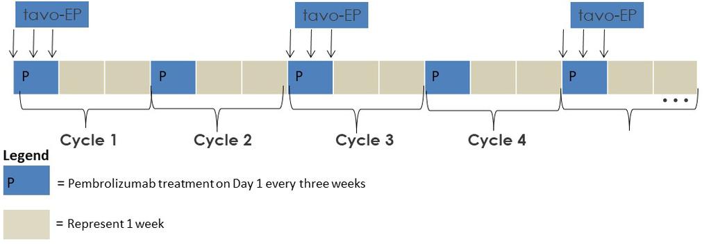 OMS-141 Trial Design 3 week treatment cycles with anti-pd-1 administered as a 30-minute IV infusion Day 1 of every cycle (flat dose of 200 mg) Subjects treated with IT-TAVO-EP on days 1, 5 and 8