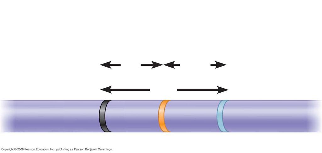 Fig. 15-11 RESULTS Chromosome