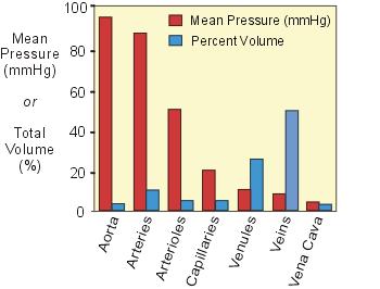 Distribution of Pressure