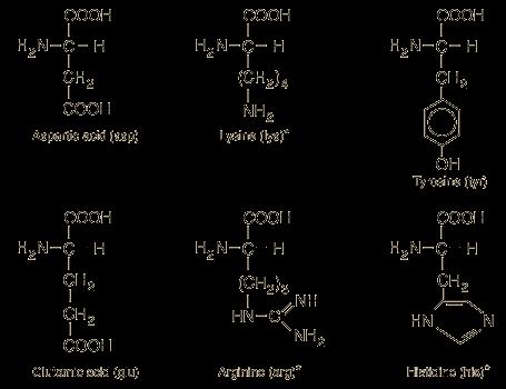 group is unique to each amino acid.