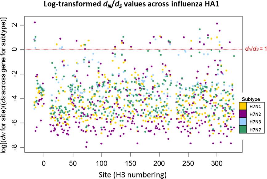 Ward et al. BMC Evolutionary Biology 2013, 13:222 Page 10 of 18 Figure 6 Log(d N /d S ) values across avian influenza H7 HA1 sites, on different NA subtype backgrounds.