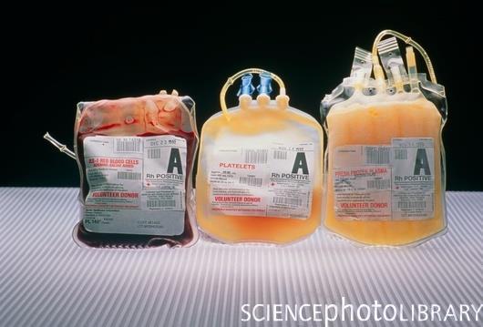 Plasma Liquid part of blood 90% of plasma is made up of water Contains nutrients, hormones, clotting