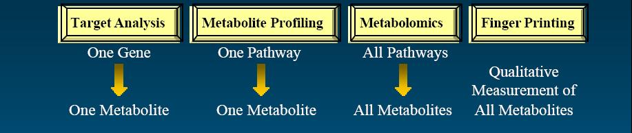 Classification of metabolomics approaches Metabolomics is the study of metabolic changes.