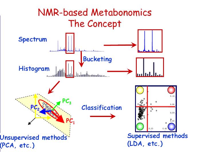 NMR-based metabolomics: the concept Primary data reduction:250-1000 different integrated regions No a priori knowledge of