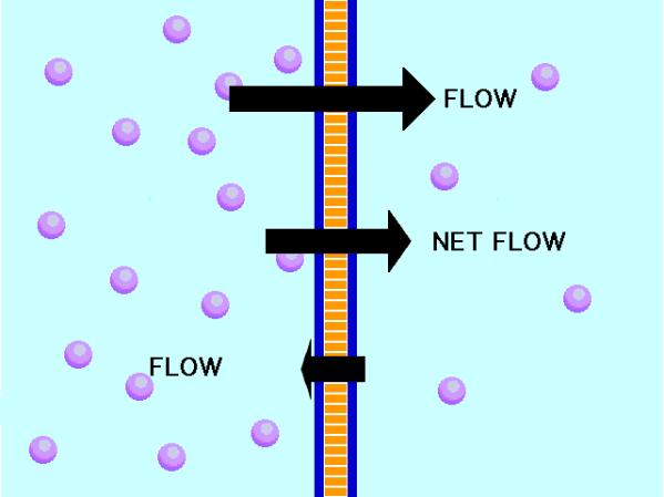 183 # 2, 3, 4 Quiz Friday on Parts of cell & Cell Membrane Function Dec 7 10:47 AM Dec 7 11:24 AM Cell Membranes: Gatekeepers of the cell * Substances must be able to move in and out of the cell A.