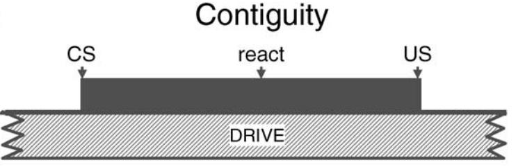 Basic assumptions of animal learning theory defining the behavioral functions of rewards. Contiguity refers to the temporal proximity of a conditioned stimulus (CS), or action, and the reward.