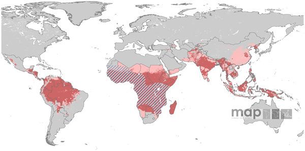 Transmission was defined as stable (red areas, where PvAPI 0.1 per 1,000 people p.a.), unstable (pink areas, where PvAPI<0.1 per 1,000 p.a.) or no risk (grey areas).