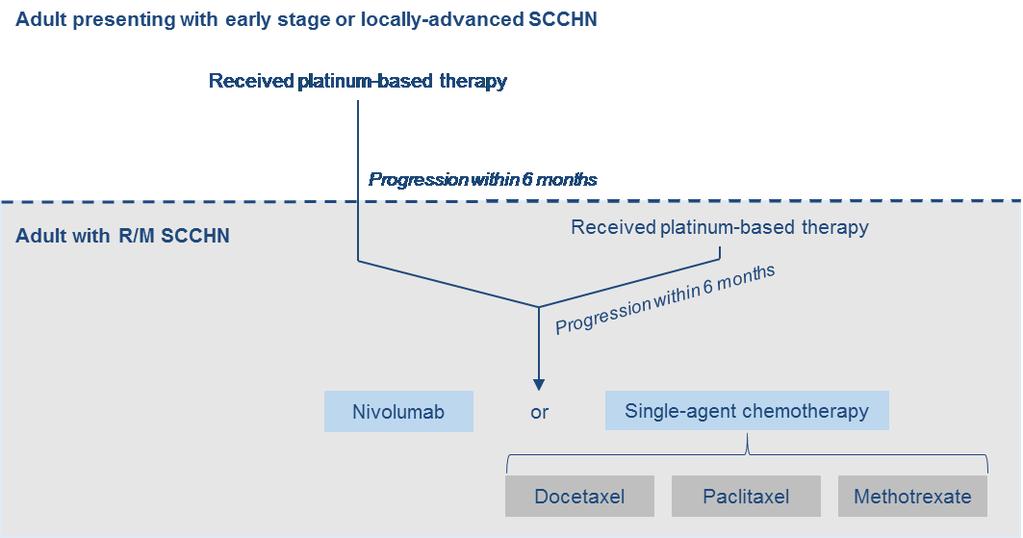 Company s proposed clinical care pathway for adults with R/M SCCHN after platinum-based therapy Patients who may be considered eligible for treatment with nivolumab under the anticipated indication