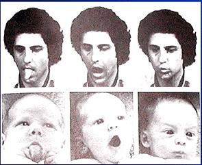 Imitation in Infants Meltzoff, AN, Moore MK.