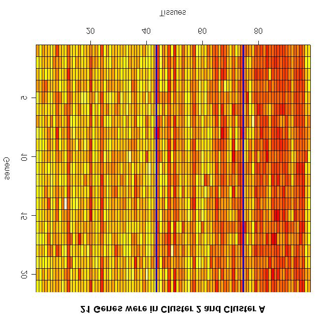 Model-Based Clustering in Gene Expression Microarrays 585 Fig. 5. Genes retained by EMMIX-GENE appearing in Cluster A.