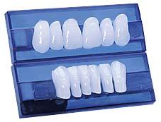 teeth or select prefabricated denture teeth