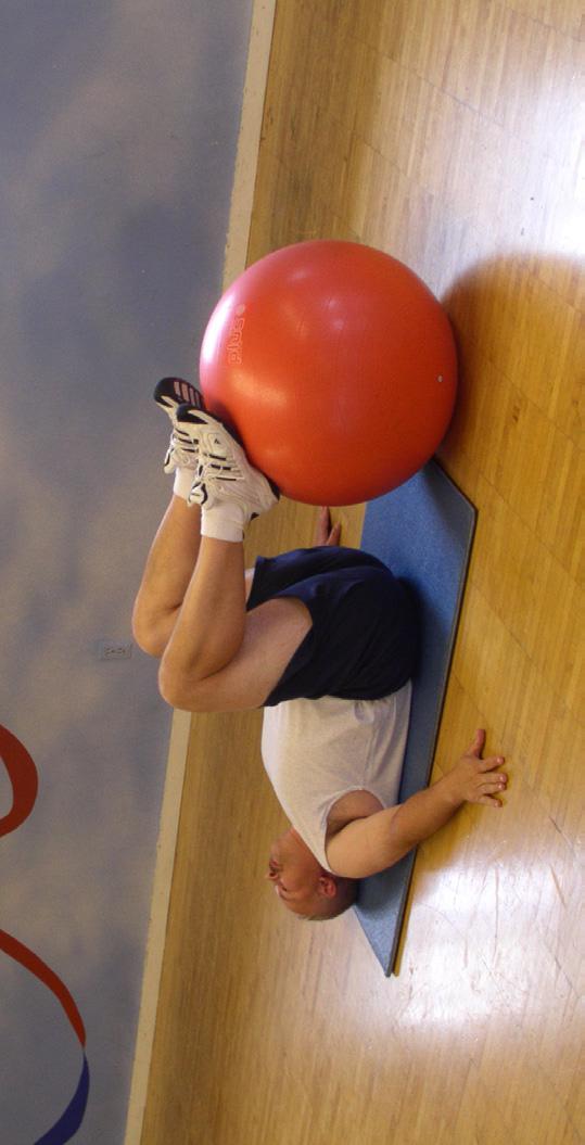 If you use a stability ball it should be the appropriate size for your leg length.