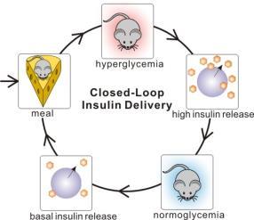 Insulin Nanotechnology Insulin/GLP1 combo High concentration