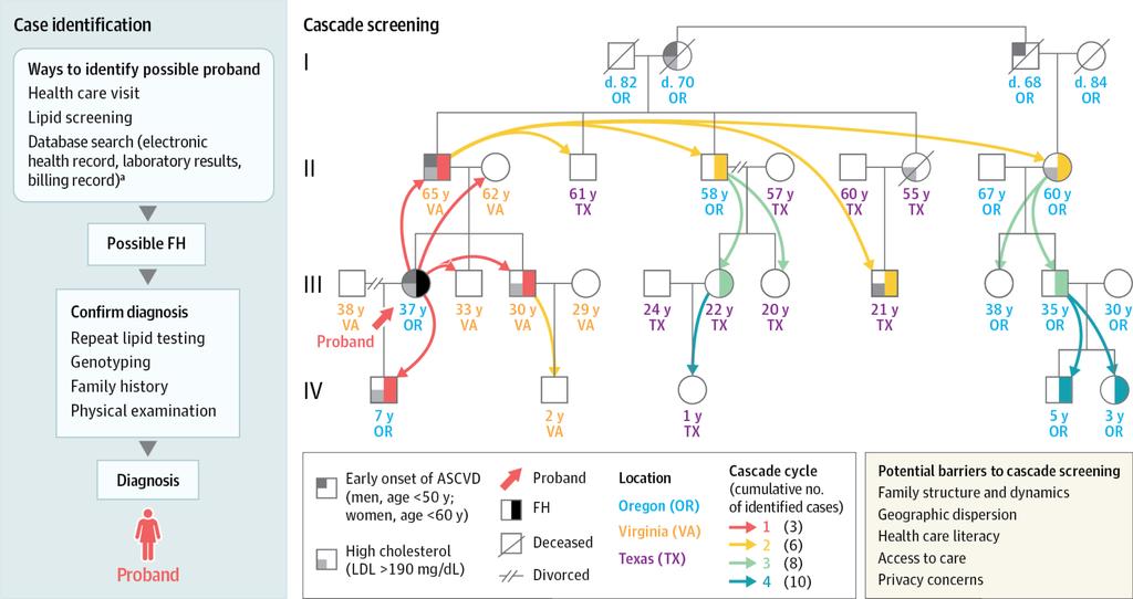 From: Cascade Screening for Familial Hypercholesterolemia and the Use of Genetic